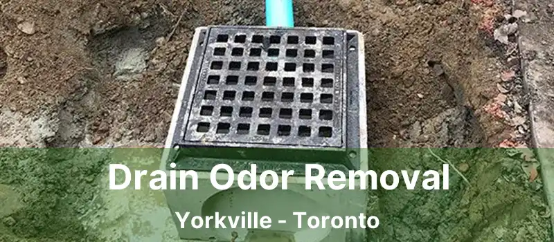  Drain Odor Removal Yorkville - Toronto